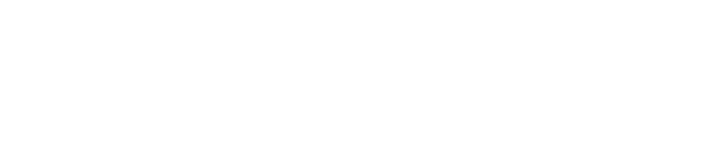 Logo Fleetizy